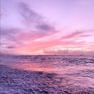 Meet your Posher, Phoebe